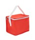 Cooler Mini 4,5Lts.