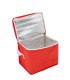 Cooler Mini 4,5Lts.